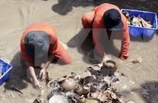Expertos internacionales prestan atención a cerámica antigua de Vietnam 