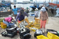 Exportación acuícola vietnamita asciende a casi siete mil millones de dólares en 10 meses