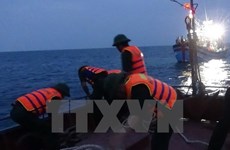 Rescatan a marineros vietnamitas accidentados en el mar 