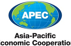 Rusia apoya prioridades de APEC 2017 propuestas por Vietnam