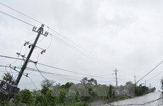 Vietnam registra grandes pérdidas por el tifón Damrey