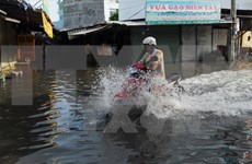 Ciudad Ho Chi Minh coopera con empresa india en protección contra inundaciones