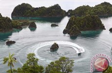 Indonesia: mejor destino de buceo en el mundo