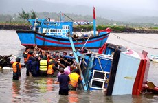 UE expresa solidaridad con Vietnam ante pérdidas causadas por el tifón Damrey