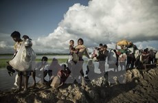 Myanmar y Bangladesh comienzan conversaciones sobre repatriación de rohingyas