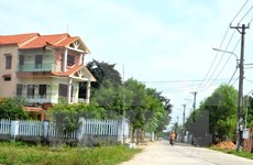 Hanoi avanza en construcción de nueva ruralidad