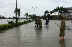Vietnamitas en Argelia apoyan a las víctimas de inundaciones en tierra natal