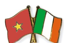 Ciudad Ho Chi Minh e Irlanda cooperan en formación en tecnologías de la información