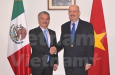 Concede México importancia a desarrollo de relaciones con Vietnam