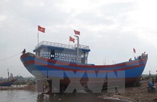 Provincia vietnamita de Soc Trang por desarrollar flotilla para pesca en alta mar