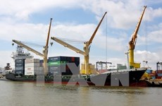 Grupos vietnamita y belga cooperan en construcción de muelles en puerto de Hai Phong