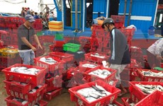 Esmerado Vietnam en resolver problemas relativos a pesca ilegal