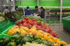 Vietnam ingresa más de tres mil millones de dólares por ventas de verduras y frutas