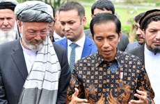 Indonesia apoya a Afganistán en proceso de paz