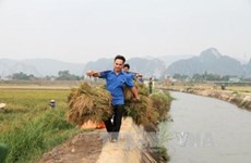 La mitad de las comunas en Vietnam será modernizada en 2020