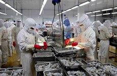 Exportaciones de mariscos vietnamitas alcanzarán ocho mil millones de dólares en 2017