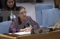 Vietnam interviene en plenario de Asamblea General de ONU relativo a océanos y derecho del mar