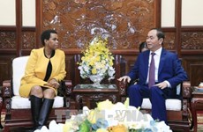 Presidente vietnamita recibe a saliente embajadora sudafricana 