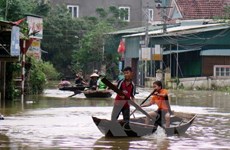 PNUD y Sudcorea ayudan a Vietnam en superación de consecuencias del tifón Damrey
