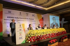 ASEAN y la India por agilizar conexión en sector digital