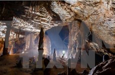Descubren 58 grutas en la provincia vietnamita de Quang Binh