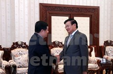 Aprecian aportes de comités de cooperación Laos- Vietnam 