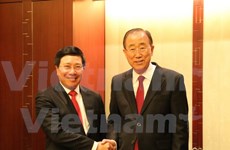 Vicepremier y canciller de Vietnam efectúa visita oficial a Sudcorea
