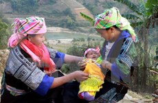 Ayuda de ONGs extranjeras contribuye a desarrollo de Vietnam  