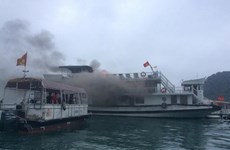 Turistas chinos traslados a sitio seguro tras una colisión de barcos en provincia vietnamita