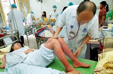 Vietnam busca reducir tasa de mortalidad por dengue