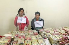 Policía de Dien Bien se incauta cargamento de drogas de cantidad sin precedente 