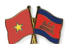 Rey camboyano recibe cartas credenciales de nuevo embajador vietnamita