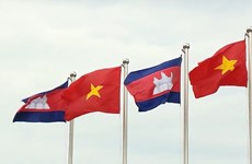 Conmemoran en Ciudad Ho Chi Minh victoria sobre régimen genocida en Camboya