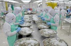 Exportación de camarón de Vietnam logro resultado alentador en 2017