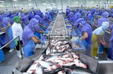 Vietnam busca ingresar fondo multimillonario por exportaciones productos acuáticos en 2018