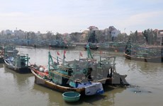 Embajada de Vietnam protege derechos de pescadores arrestados en Indonesia  