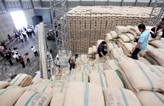 Exportaciones de arroz de Tailandia alcanzan nuevo récord en 2017