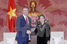 Vietnam y Estados Unidos hacia una cooperación más práctica y eficaz