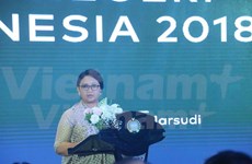 ASEAN: prioridad en política exterior de Indonesia en 2018