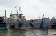 Rescatan a cinco pescadores vietnamitas accidentados en el mar