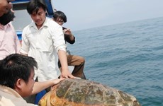 Liberan 27 animales salvajes en provincia vietnamita
