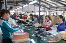 Sector de calzado vietnamita por ingresar 20 mil millones de dólares por exportaciones en 2018