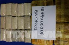 Vietnam decomisa 30 mil cápsulas de drogas sintéticas 