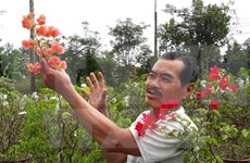 Asociación de Agricultores de Vietnam traza orientaciones para su desarrollo