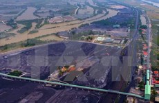  Grupo Industria de Carbón y Minería de Vietnam planea alta meta para 2018  