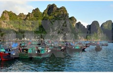 Aldea vietnamita entre las más hermosas del mundo