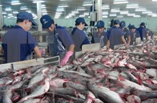 Vietnam mejora calidad de productos acuáticos para materializar meta de exportaciones