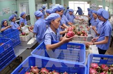TLC impulsa exportaciones de productos agrícolas de Vietnam a Sudcorea 
