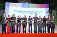 Muestra Vietnam su papel activo como coordinar de relaciones ASEAN- India
