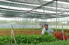 Agricultura inteligente: oportunidades y desafíos para Vietnam
